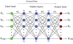 feedforward